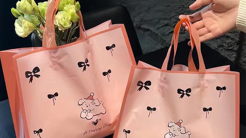 การเพิ่มขึ้นของถุงช้อปปิ้งที่นำกลับมาใช้ใหม่ได้